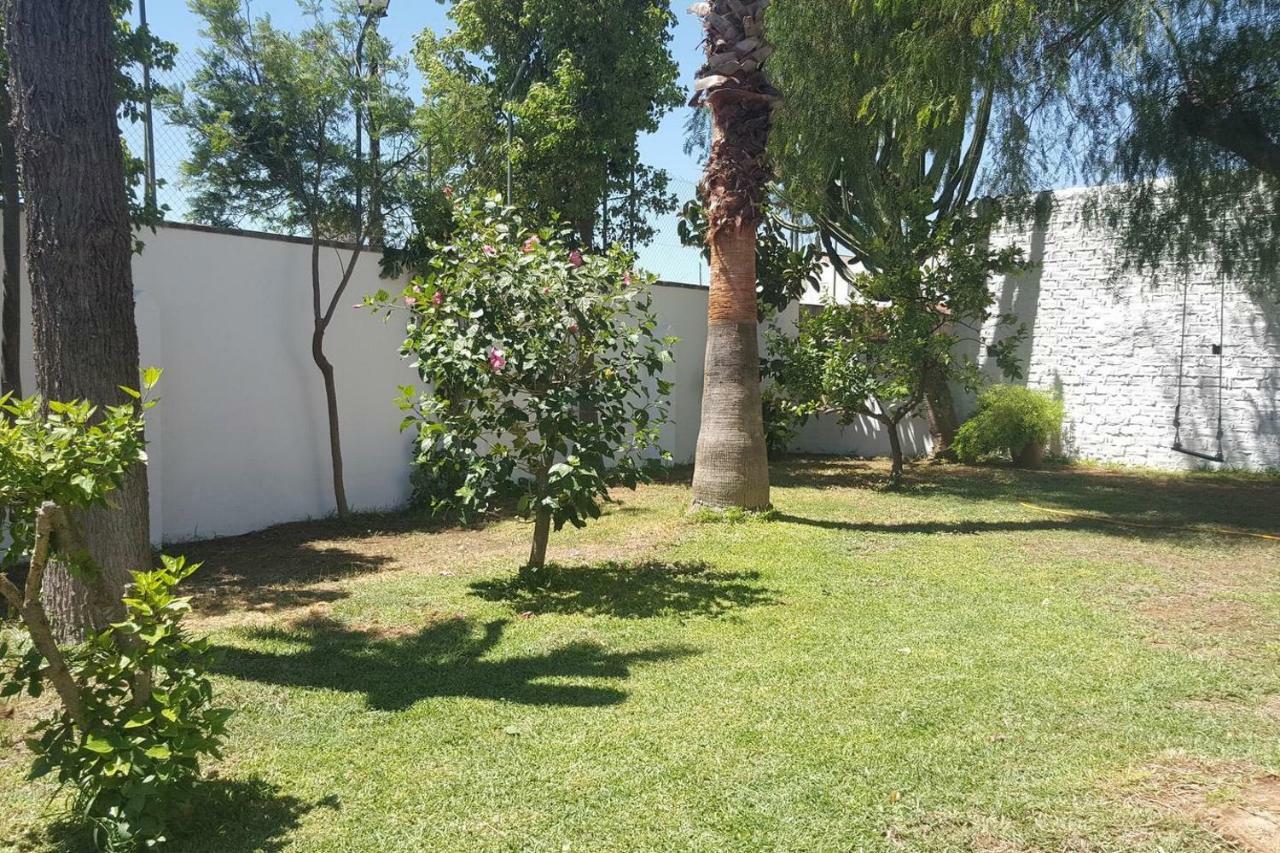 Villa Del Manzano Villanueva del Ariscal 외부 사진